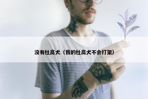 没有杜高犬（我的杜高犬不会打架）