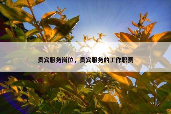 贵宾服务岗位，贵宾服务的工作职责