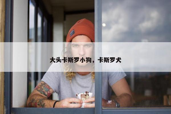 大头卡斯罗小狗，卡斯罗犬