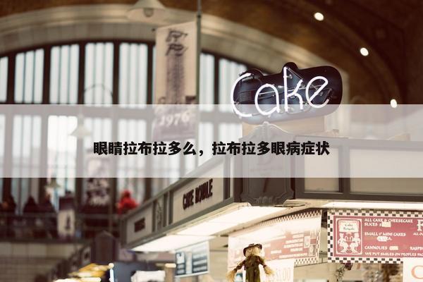 眼睛拉布拉多么，拉布拉多眼病症状