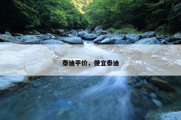 泰迪平价，便宜泰迪