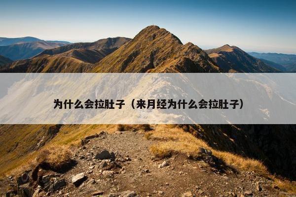 为什么会拉肚子（来月经为什么会拉肚子）