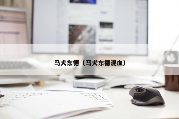马犬东德（马犬东德混血）
