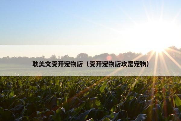 耽美文受开宠物店（受开宠物店攻是宠物）