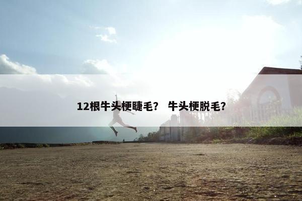 12根牛头梗睫毛？ 牛头梗脱毛？