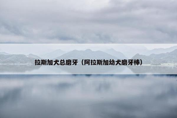 拉斯加犬总磨牙（阿拉斯加幼犬磨牙棒）