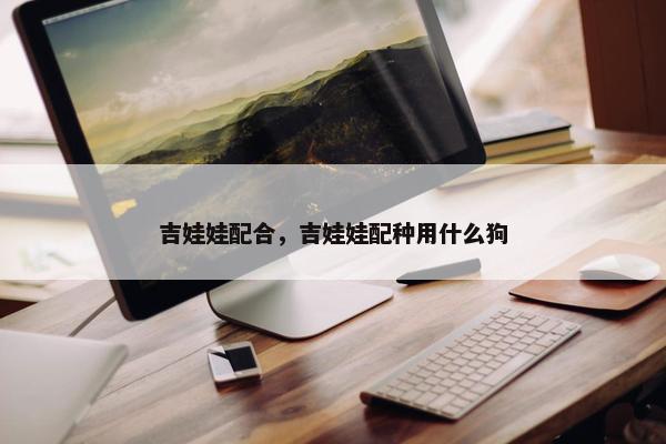 吉娃娃配合，吉娃娃配种用什么狗