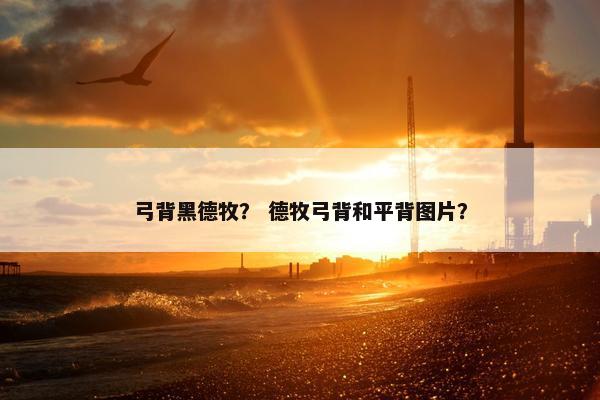 弓背黑德牧？ 德牧弓背和平背图片？