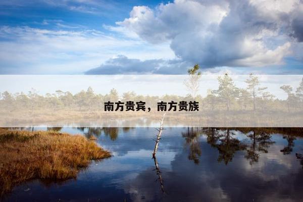 南方贵宾，南方贵族