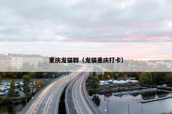 重庆龙猫群（龙猫重庆打卡）