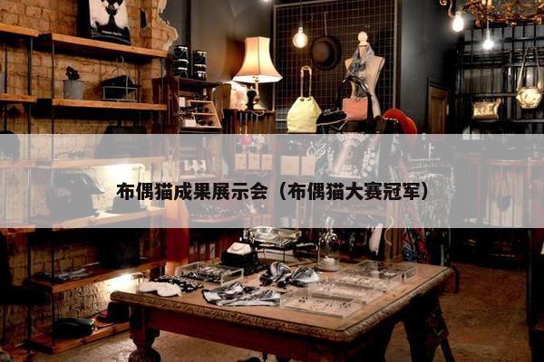 布偶猫成果展示会（布偶猫大赛冠军）