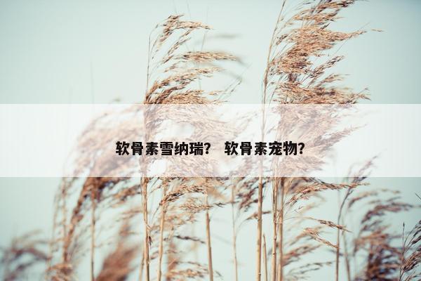 软骨素雪纳瑞？ 软骨素宠物？