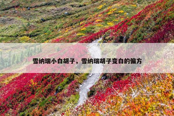 雪纳瑞小白胡子，雪纳瑞胡子变白的偏方