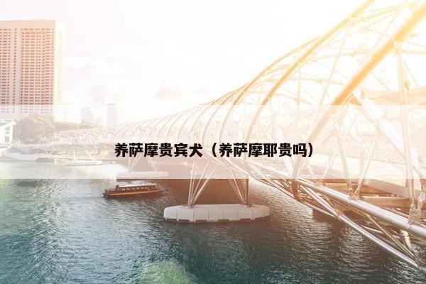 养萨摩贵宾犬（养萨摩耶贵吗）
