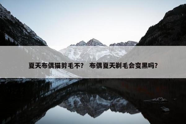夏天布偶猫剪毛不？ 布偶夏天剃毛会变黑吗？
