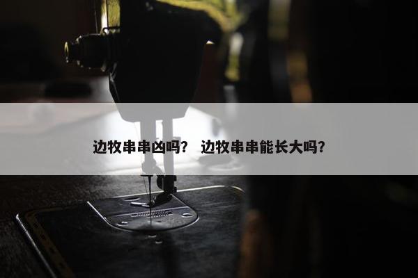 边牧串串凶吗？ 边牧串串能长大吗？
