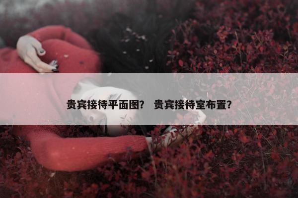 贵宾接待平面图？ 贵宾接待室布置？