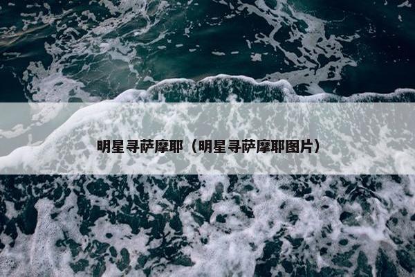 明星寻萨摩耶（明星寻萨摩耶图片）