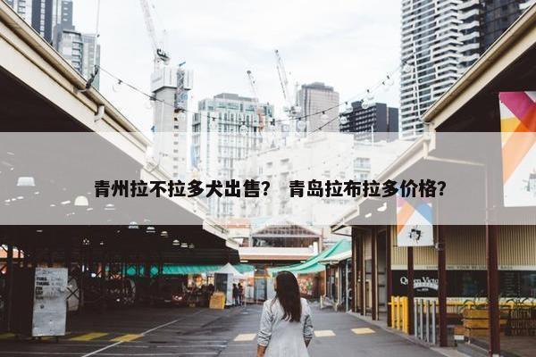 青州拉不拉多犬出售？ 青岛拉布拉多价格？