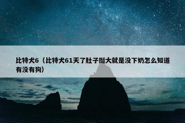 比特犬6（比特犬61天了肚子挺大就是没下奶怎么知道有没有狗）