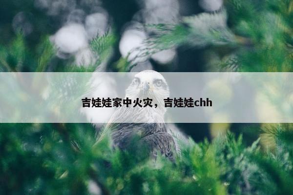 吉娃娃家中火灾，吉娃娃chh
