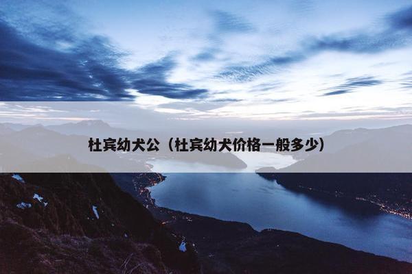 杜宾幼犬公（杜宾幼犬价格一般多少）