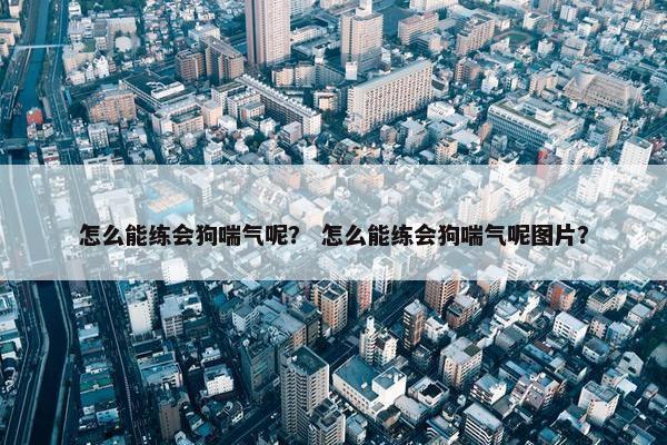 怎么能练会狗喘气呢？ 怎么能练会狗喘气呢图片？