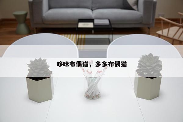 哆咪布偶猫，多多布偶猫