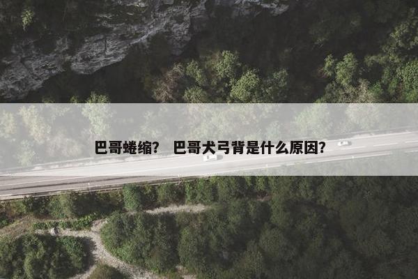 巴哥蜷缩？ 巴哥犬弓背是什么原因？