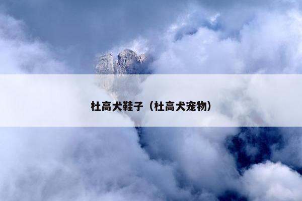 杜高犬鞋子（杜高犬宠物）