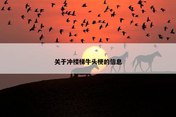 关于冲楼梯牛头梗的信息