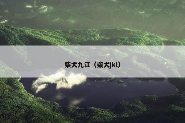 柴犬九江（柴犬jkl）