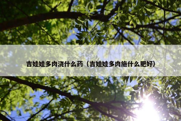 吉娃娃多肉浇什么药（吉娃娃多肉施什么肥好）