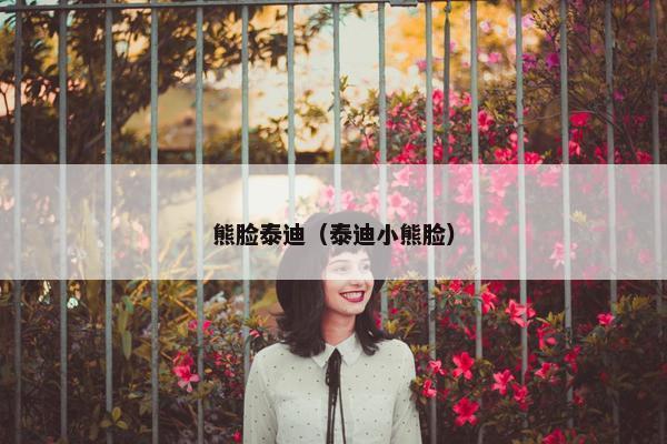 熊脸泰迪（泰迪小熊脸）