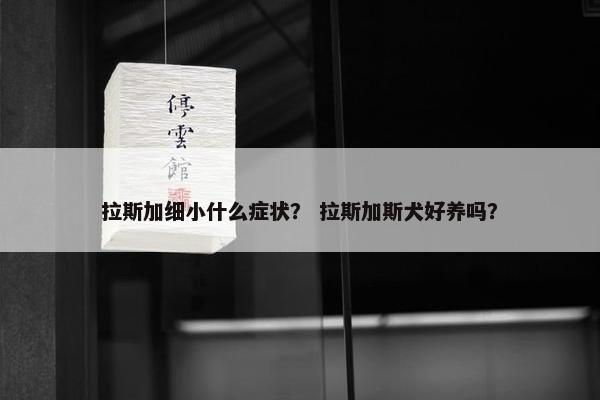 拉斯加细小什么症状？ 拉斯加斯犬好养吗？