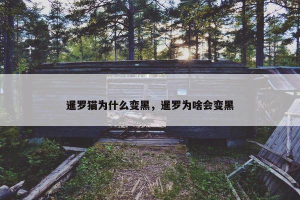 暹罗猫为什么变黑，暹罗为啥会变黑