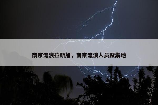 南京流浪拉斯加，南京流浪人员聚集地
