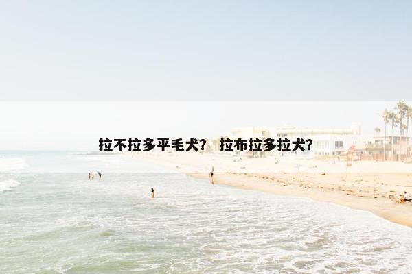 拉不拉多平毛犬？ 拉布拉多拉犬？