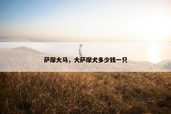 萨摩大马，大萨摩犬多少钱一只