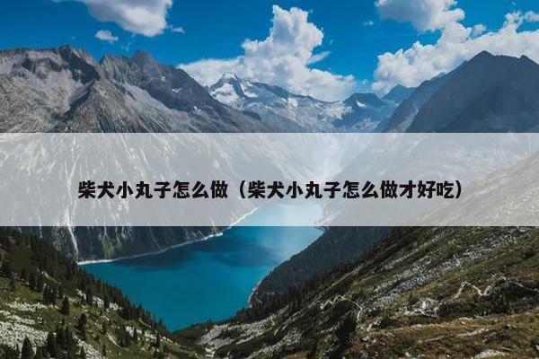 柴犬小丸子怎么做（柴犬小丸子怎么做才好吃）