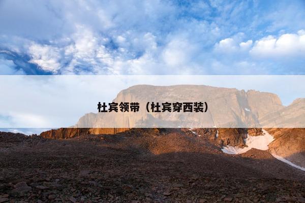 杜宾领带（杜宾穿西装）