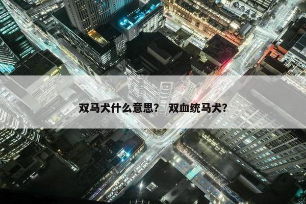 双马犬什么意思？ 双血统马犬？