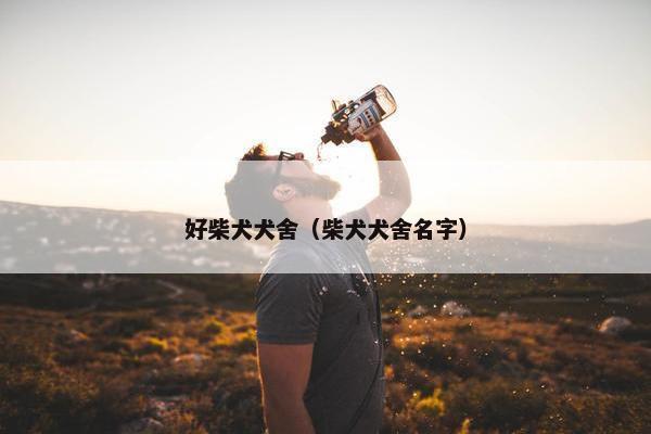 好柴犬犬舍（柴犬犬舍名字）