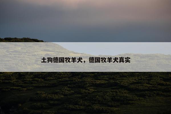 土狗德国牧羊犬，德国牧羊犬真实