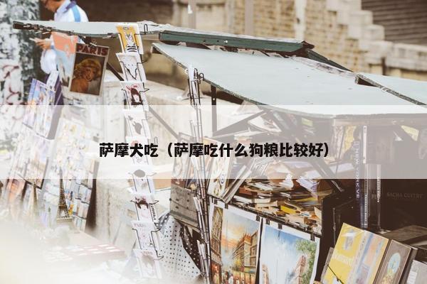 萨摩犬吃（萨摩吃什么狗粮比较好）