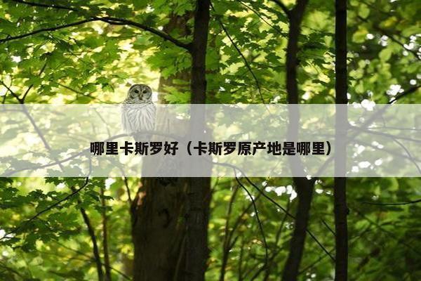 哪里卡斯罗好（卡斯罗原产地是哪里）