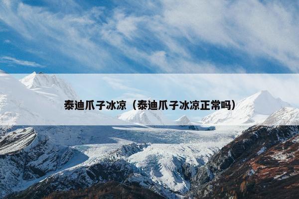 泰迪爪子冰凉（泰迪爪子冰凉正常吗）