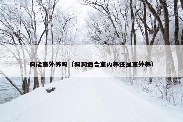 狗能室外养吗（狗狗适合室内养还是室外养）