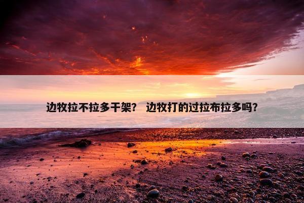 边牧拉不拉多干架？ 边牧打的过拉布拉多吗？