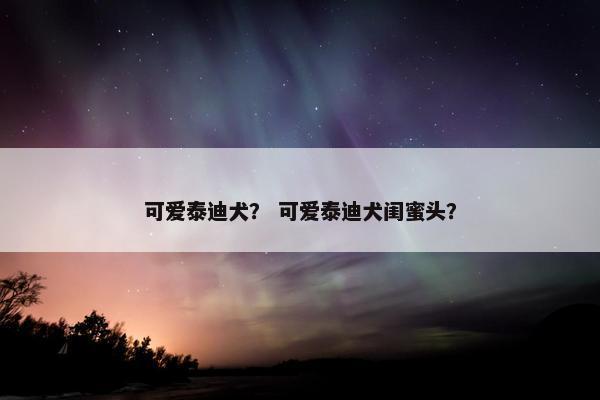 可爱泰迪犬？ 可爱泰迪犬闺蜜头？